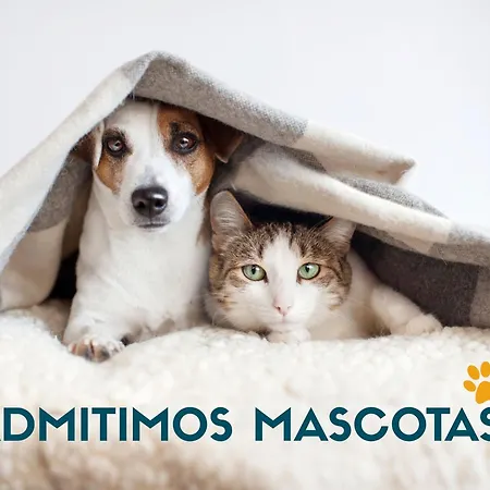 El Pilar 3000 Apartamento *